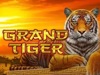 31Bet Casino screenshot
